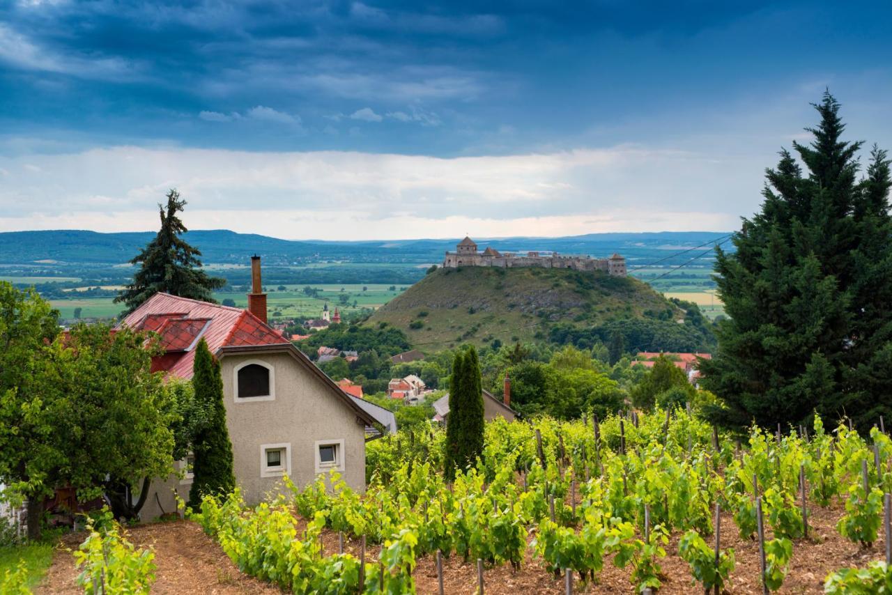 Ter Pince Villa Sumeg Exterior photo
